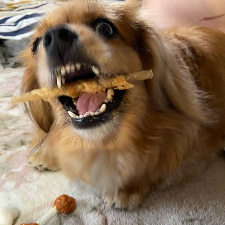 2a0f0a48 790e 4c28 9edf f62653ee5a66 1592430597167