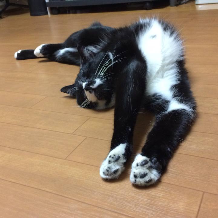 2a0f0f2f 6bfc 4f17 be4e 33d60eebddbe 1515407046545