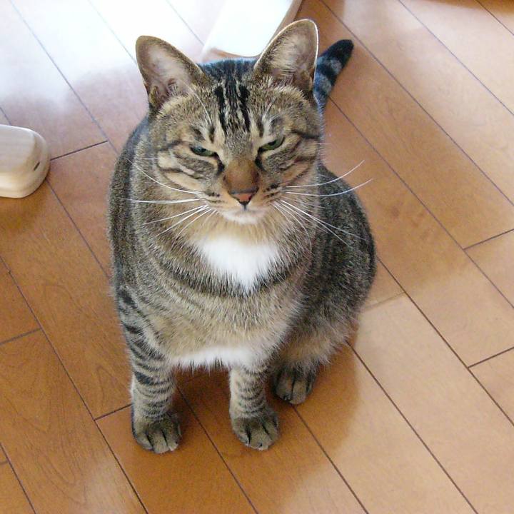 2a0f1e38 624c 4162 aab4 a63d03224f2b 1582452659012