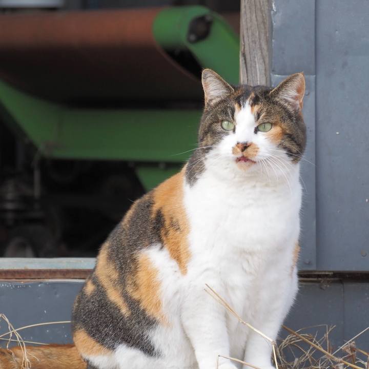 2a0f604d 7693 4a2f a61b 1224f72df72a 1770296462943