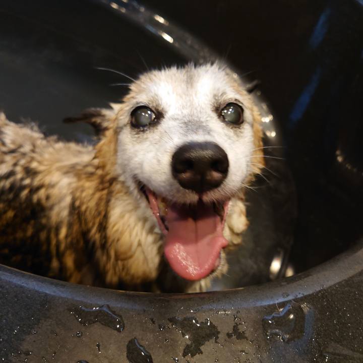 2a0fc21b 1373 4e43 afa2 20e9a39599f0 1754049866203