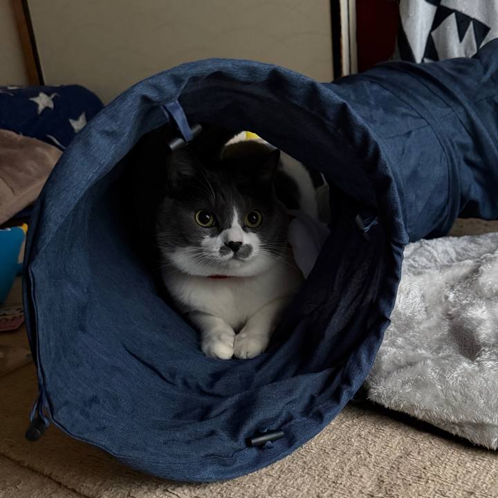 2a0fd67f 7213 4eb2 9e05 a5909dc93619 1766646112626