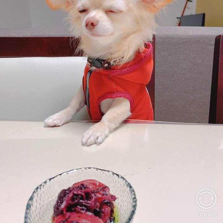 2a0ffb39 42af 4c3b ad25 d86bca2fd4ce 1606218628248