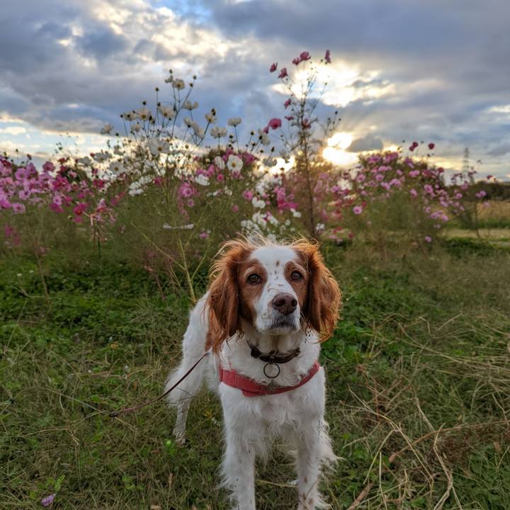 2a100a26 63ab 4570 b6b3 978a9ed5cd19 1636532263812