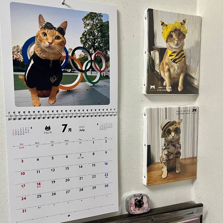 2a101019 5bce 4a62 89ed 1b1151b56f63 1656626383579