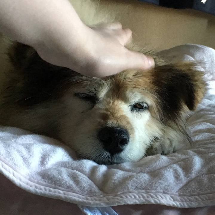 2a10533b 62b4 4484 87c8 3dfee921815f 1594258184586