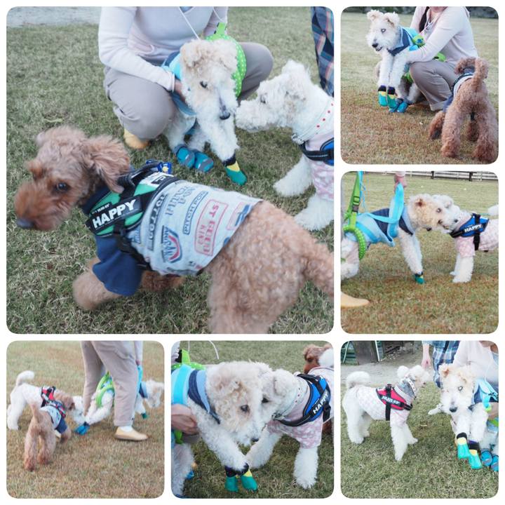 2a1060c6 cb4c 4b69 aa0a 4f368be74fd6 1540045357519