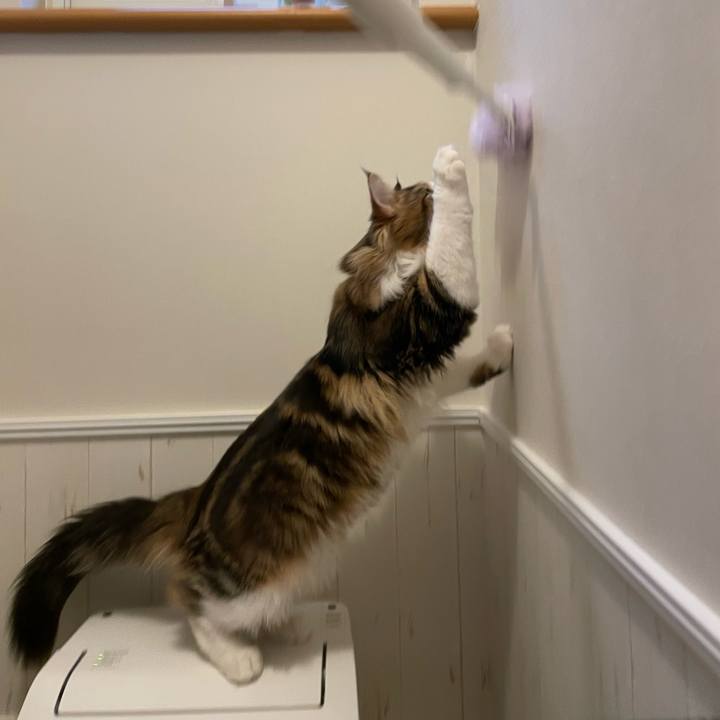 2a106110 b103 4786 bdec c63d2467e4be 1640931730032