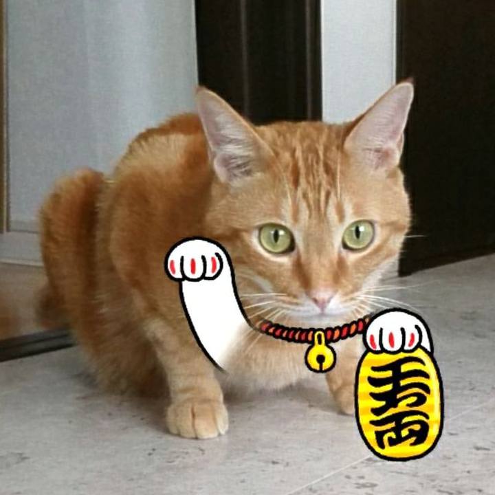 2a108954 fa94 48fd ad71 407878f631c9 1562377099551