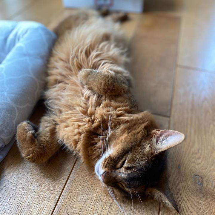 2a108a05 23f8 47da aa42 f75eb8b784aa 1694153471137