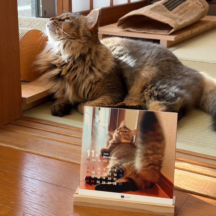 2a10a785 7f0e 4b99 bb31 7bbaa90eecc3 1761955972145