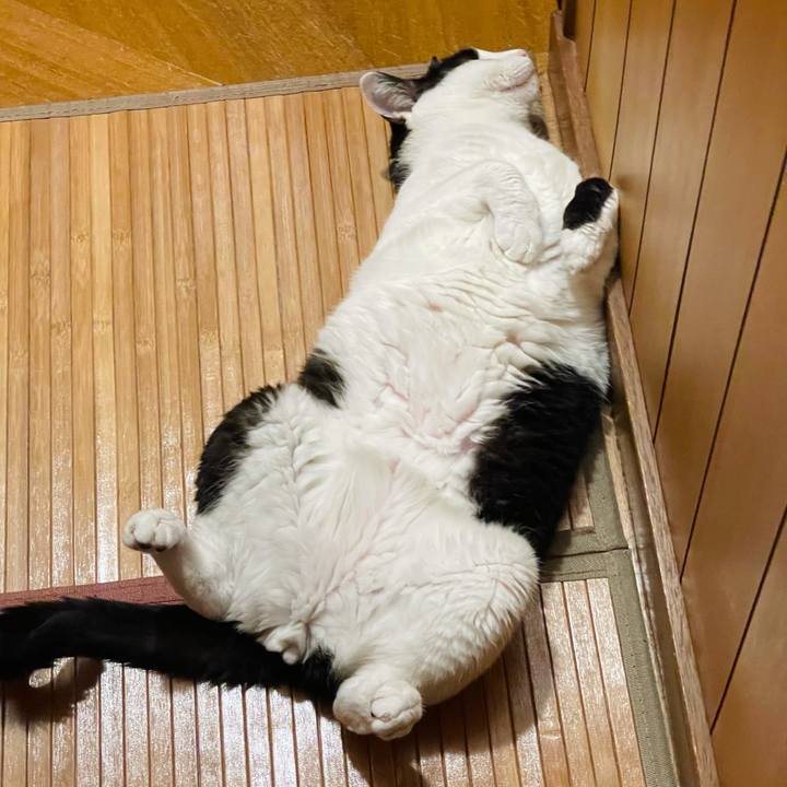 2a10fea7 cb00 4ac0 894d 931a236aae16 1626578775979