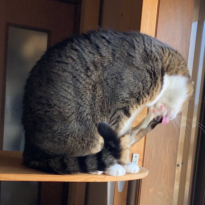 2a11033c 4bd5 4f57 a1d9 b364ad3293ad 1612660857273