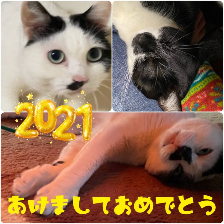 2a111e25 a2c9 4f9f 9827 f9193a2765d7 1609507617772