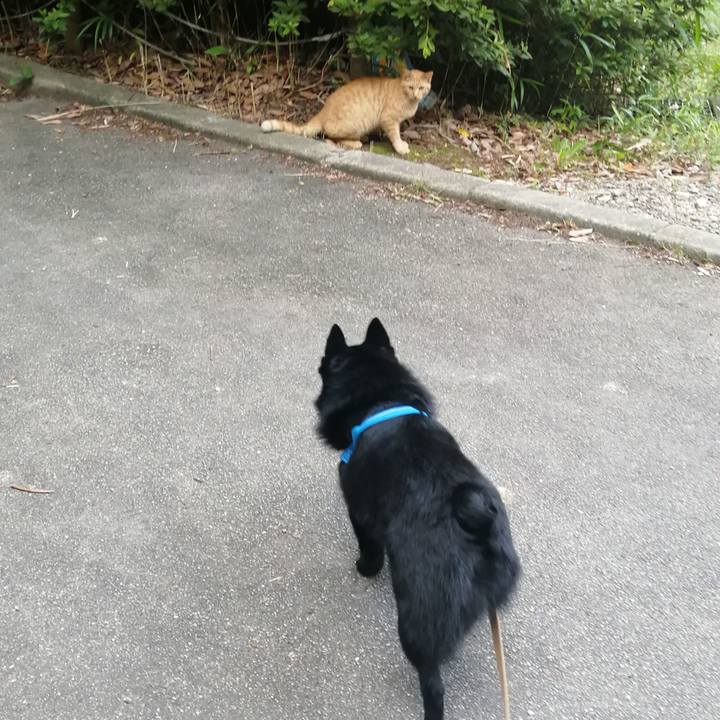 2a114acc 7fae 40f7 a176 14ec931fd9bd 1624309598213