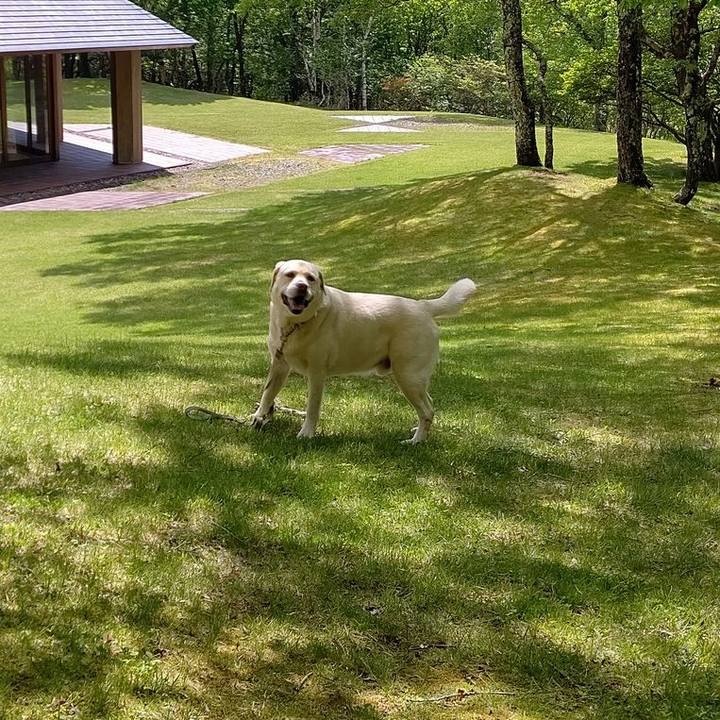 2a1150e0 e25d 41ab a1ce 16ca790b6e9c 1654740137798