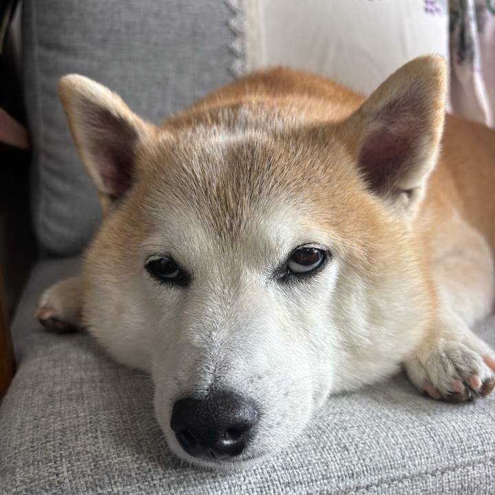 2a115911 940f 4fb1 b74c 216cb8a54e4c 1746397489362