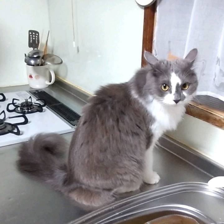 2a118c56 f16f 407d b33e ed9cb8e1d4b4 1633171918915