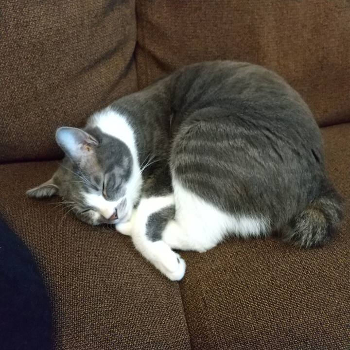 2a118dfd 0cfd 42b3 bea0 d41f3c6ef022 1612764000735