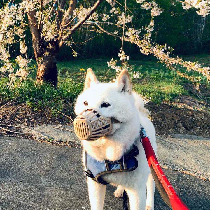 2a120ec1 9e75 4203 b0b7 5fc08c3ddca5 1652128450379