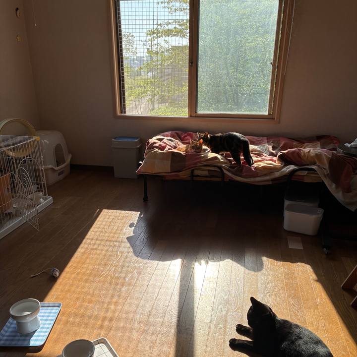 2a12125f 943b 4a50 8f73 ad9fcfa9ea63 1747828429329