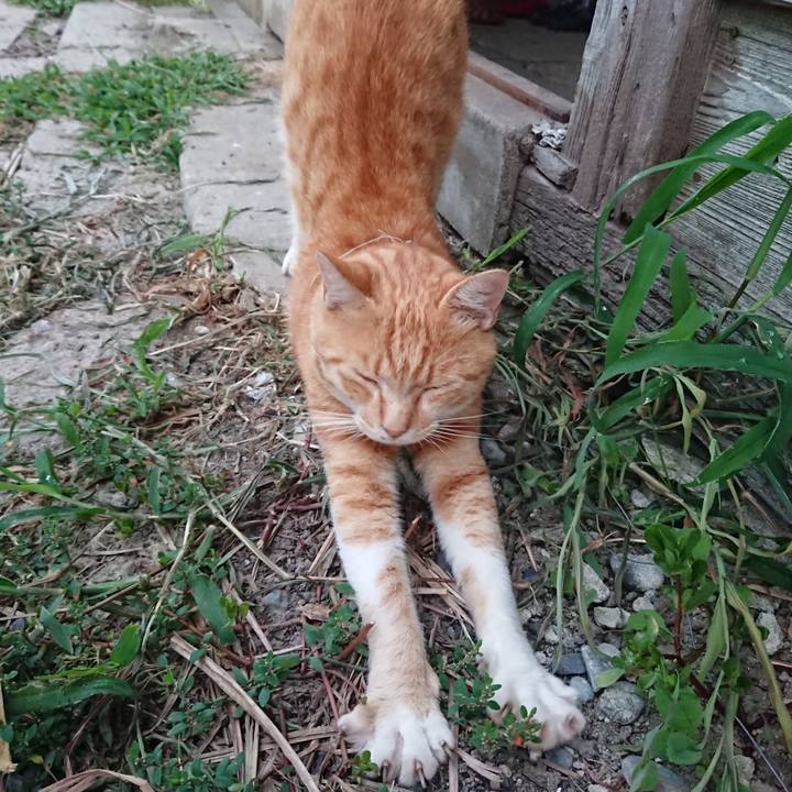 2a126154 c6be 4796 994c 5c2ec320ae0e 1563393274103