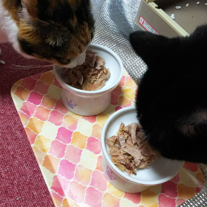 2a12742e 49e4 426a 8728 7c80dd97ffea 1541584387961