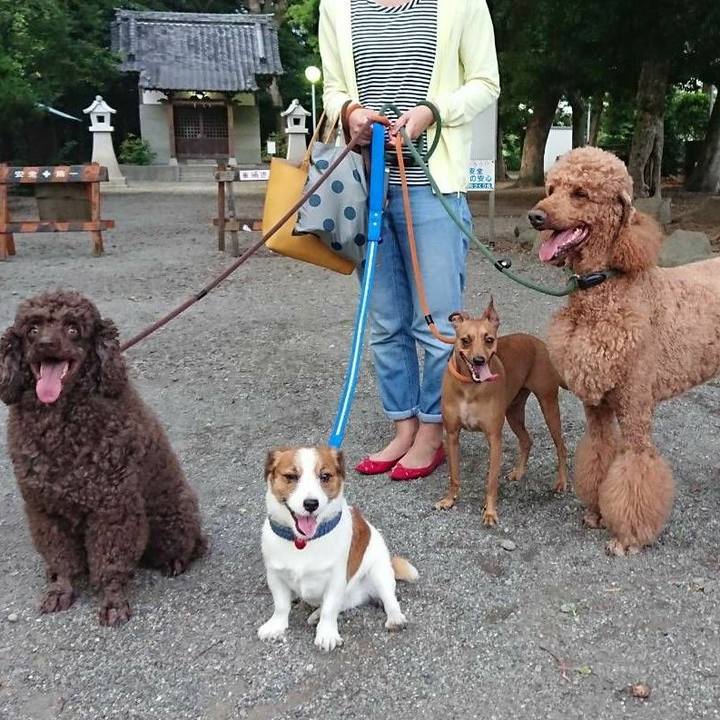 2a1285f0 ac28 443c 8be6 d9abb52a3e0a 1530619139103