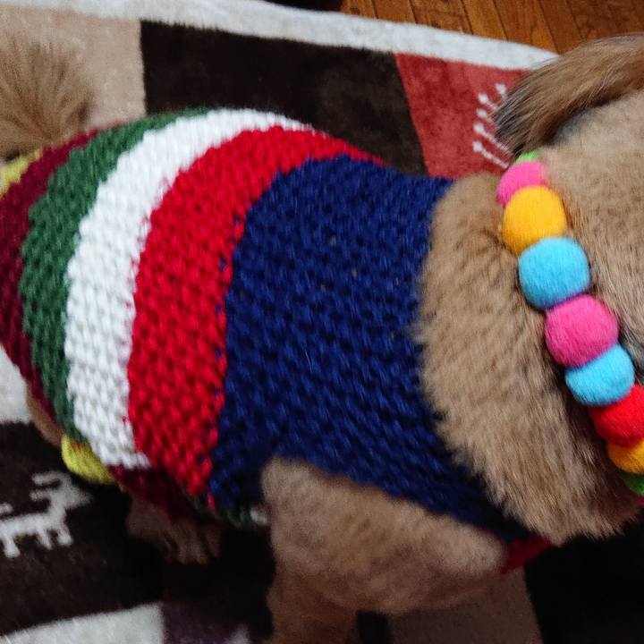 2a12e090 83ec 4838 94db 37e95fd74cb2 1548921172020