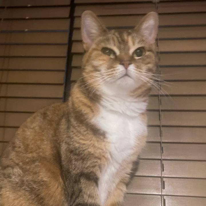 2a12e3d8 9cbd 43ad b537 13ee57446241 1682521330234