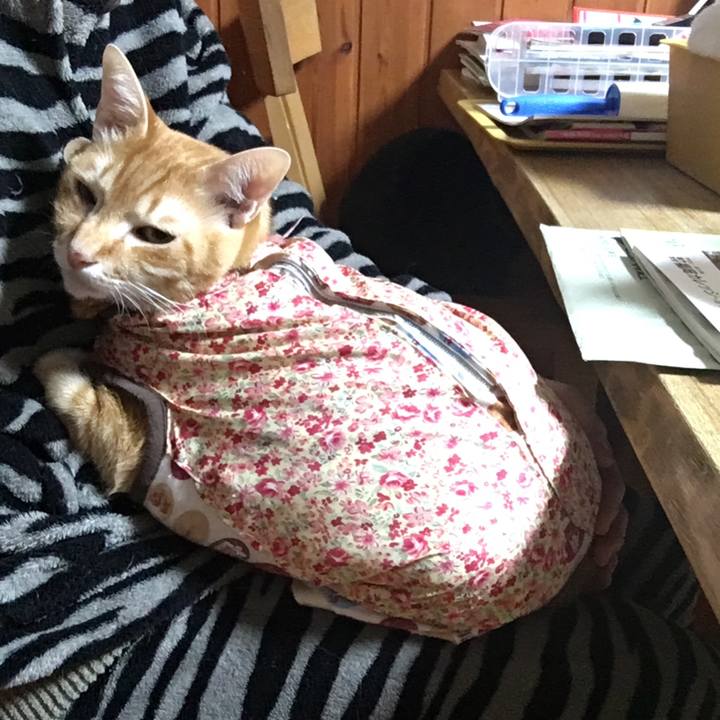 2a13088f 8f4e 49d4 a667 24bcc9efa749 1517497154665