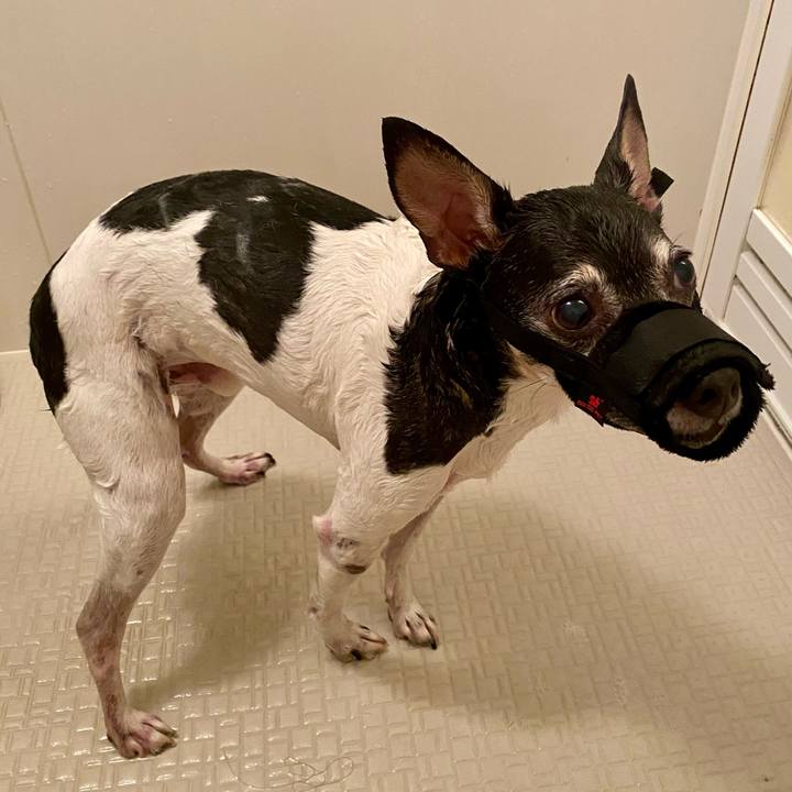 2a13558e 5346 4d88 990c ac639c84d940 1622364274178