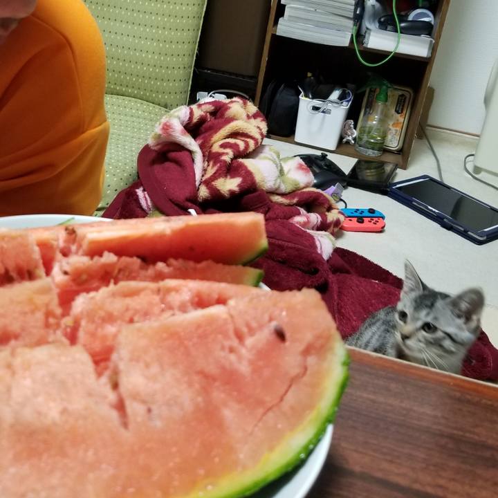 2a136919 3b84 492e 8fda 7fc1b79ac964 1665153493609