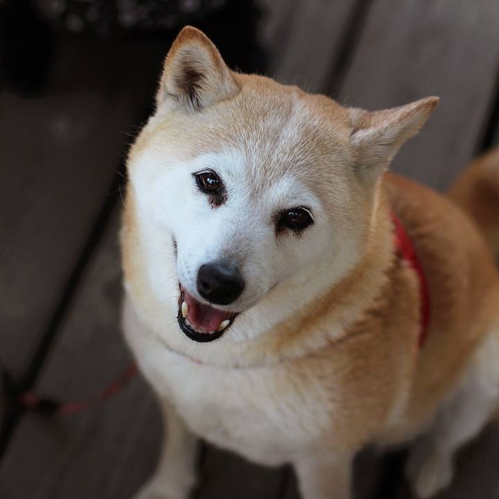 2a138fa2 e69f 440b 8393 324df1c74395 1510057082100