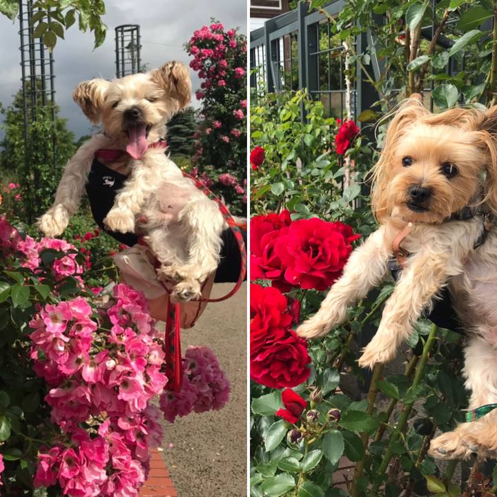 2a13c3e9 25d4 4aa4 aed0 5af3daa22d4d 1563359346090