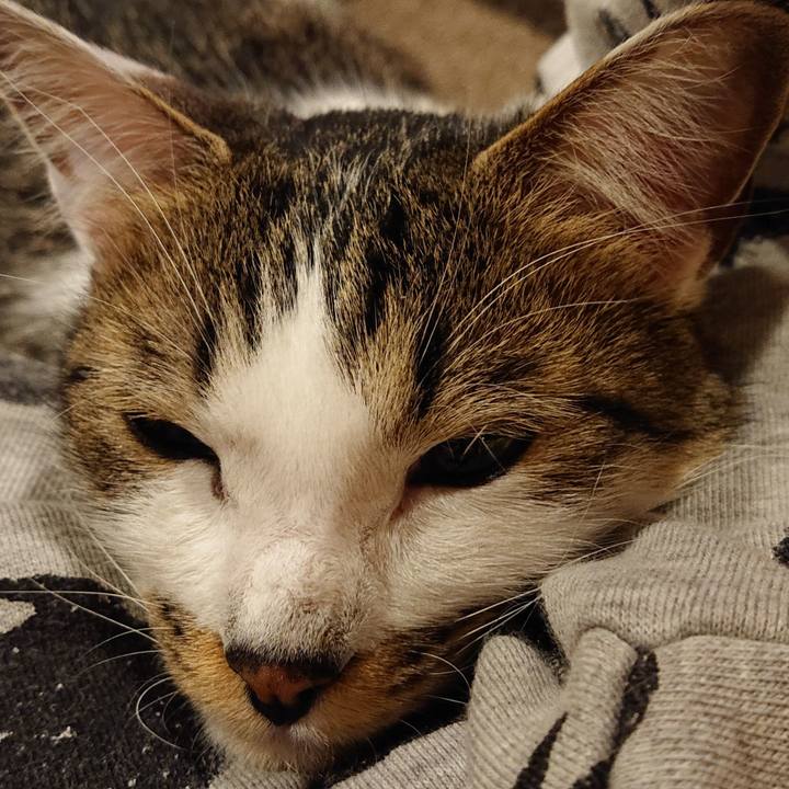 2a1485c4 730d 4ac2 ac10 249f6639796f 1583927007589