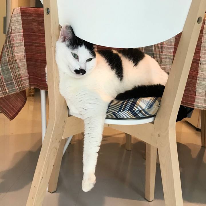 2a14aecd 887f 43f4 aa43 c92a9cafd38d 1525760944375