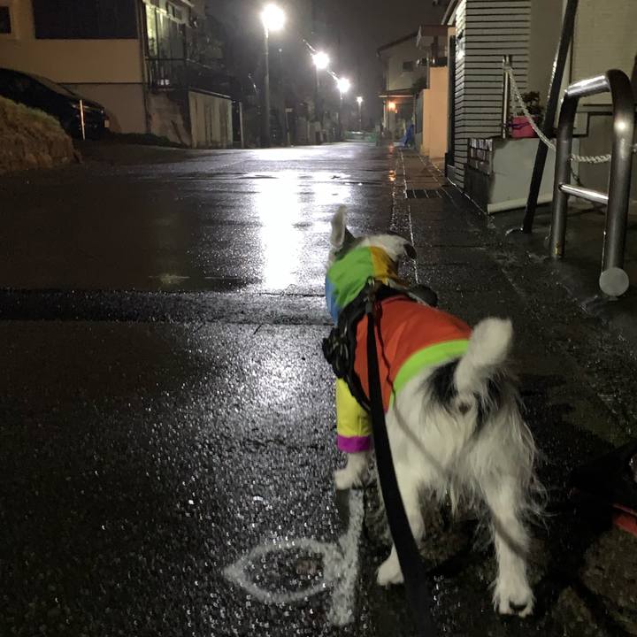 2a14eabc 1f46 433e 8ec7 e43ececd98e6 1712148149280