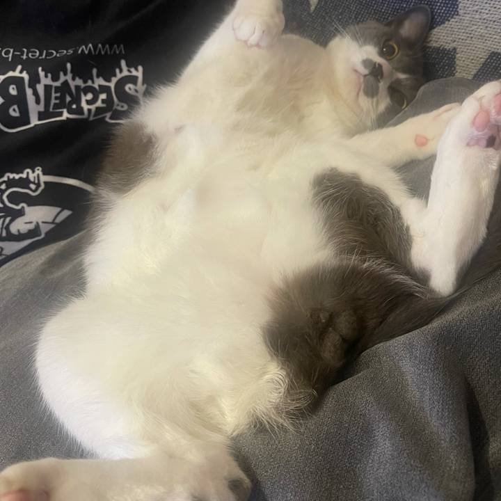 2a14ff97 3f84 4275 be25 01859ca33042 1623568648747