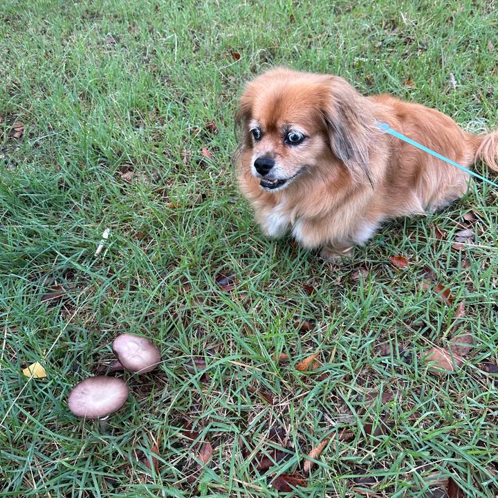 2a151905 17ff 4d62 8ada 98788979b9e8 1757800373756