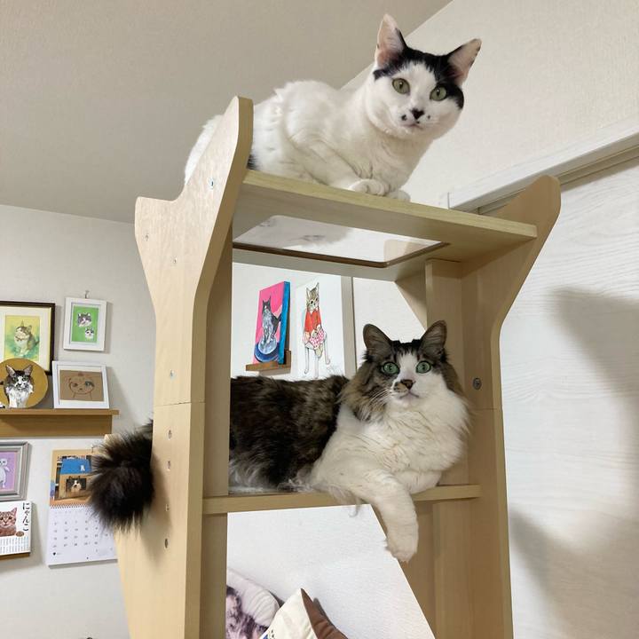 2a1539f4 41e2 4e4e 84a3 f06e9f6af35e 1775646350955