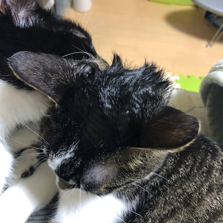 2a154d4d 8b11 4600 9b9d 27834b7b515e 1559728946760