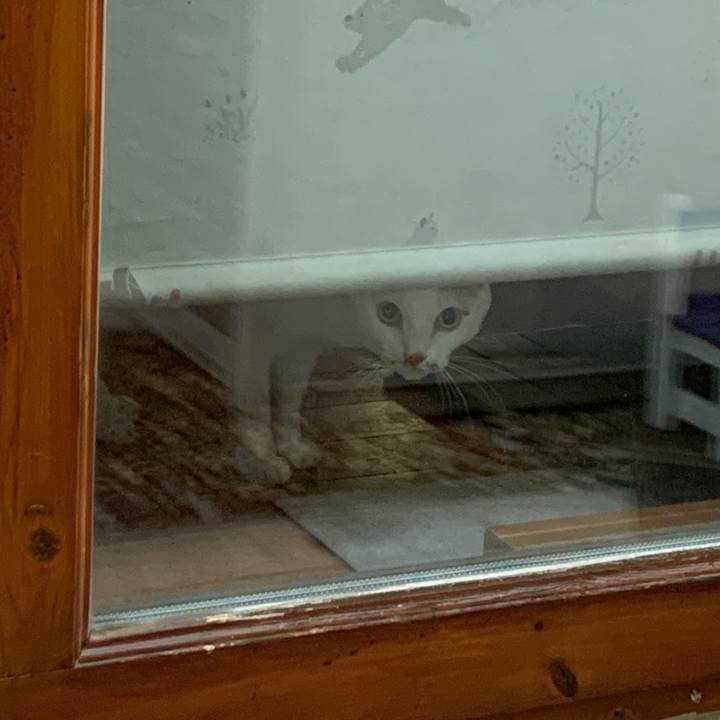 2a156c60 b6f3 42ec 84ff 67048f9a255a 1659559905216