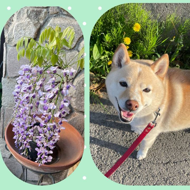 2a157cc6 daa5 41e2 ae3f 02fb778e2425 1713518224973