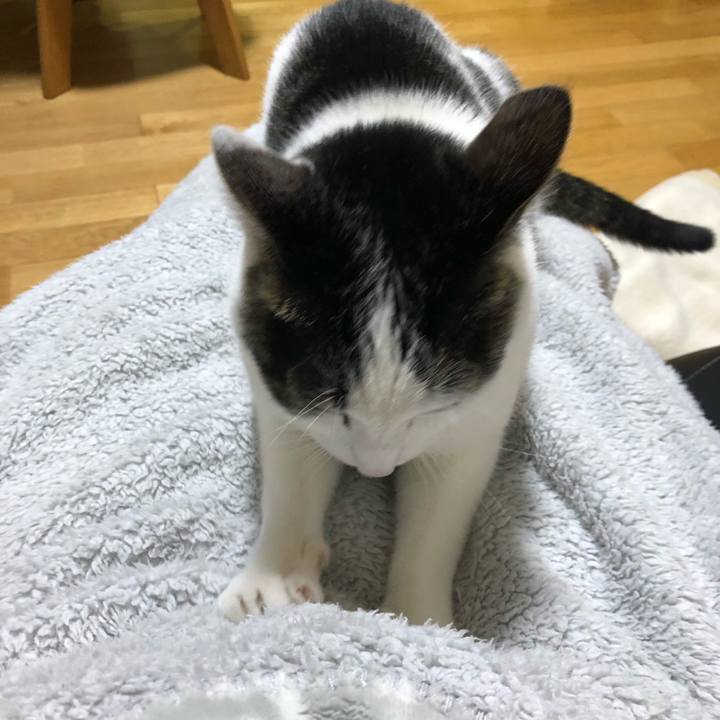 2a15a4b9 2422 4c71 94fb 9db4f206cb95 1697983290285