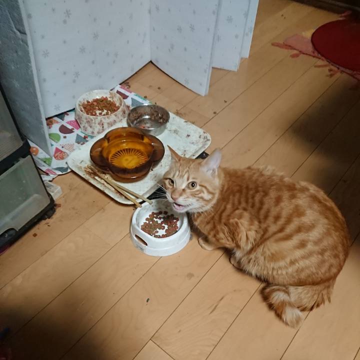 2a15cdf9 8a72 49c8 ad79 b42573cb7526 1645649704316