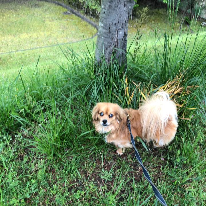 2a162d04 03fd 4a75 8071 7b3b2b3af565 1556228100014