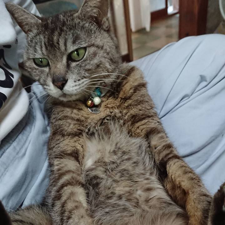 2a166191 c5fe 452a 851d cf1a6afa8dc3 1561502466271