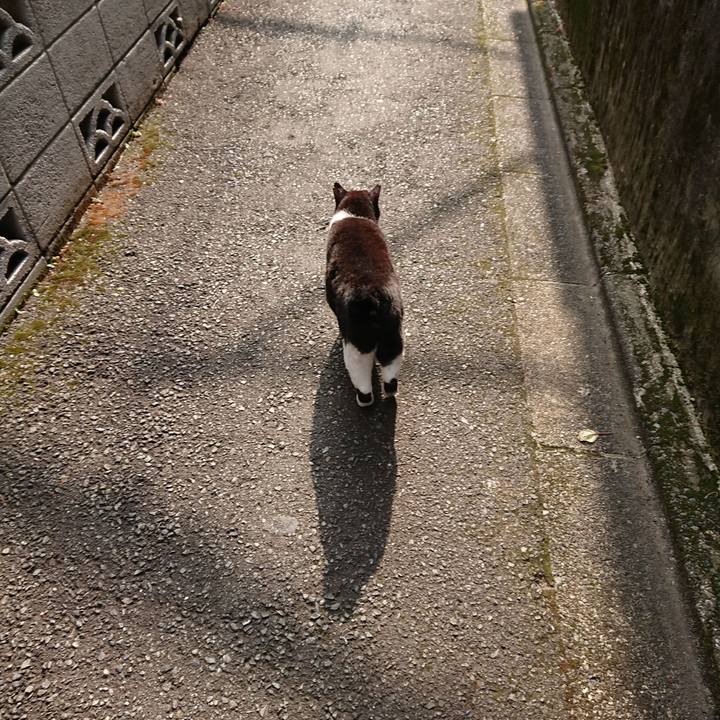 2a168b43 890b 47b8 9415 9a58045d58f0 1630020222067