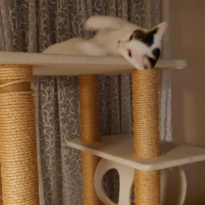 2a16bd0e a883 4e90 890c 174637a8bb4c 1696088801343